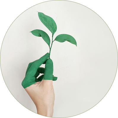 Hand with plant illustration